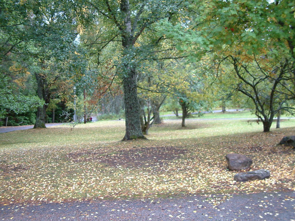 Aviemore Youth Hostel Exterior photo